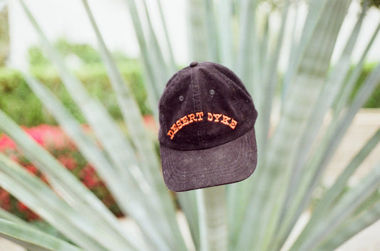35mm Film Desert Captures