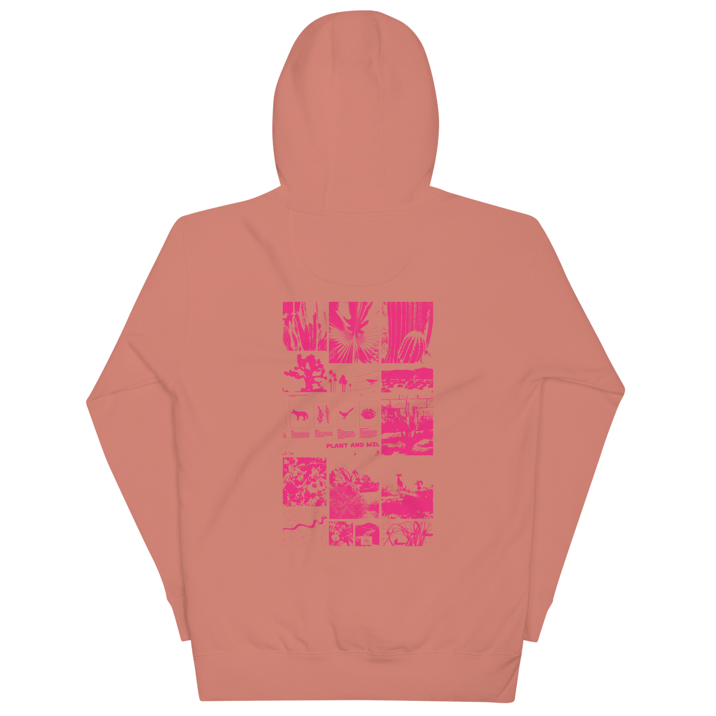 Desert Diversity Sweatshirt